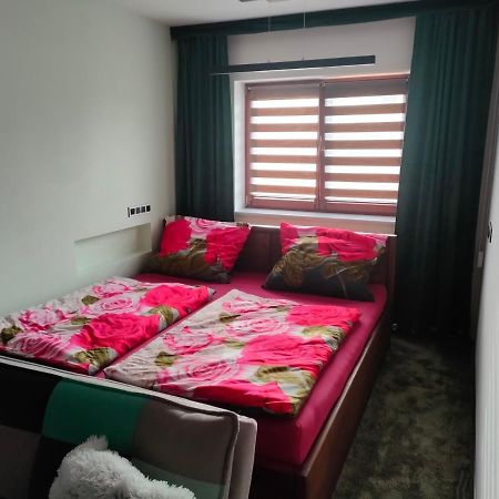 Apartman Uprostred Trojuhelniku Praha - Karlovy Vary - Plzen ホレショヴィツェ エクステリア 写真