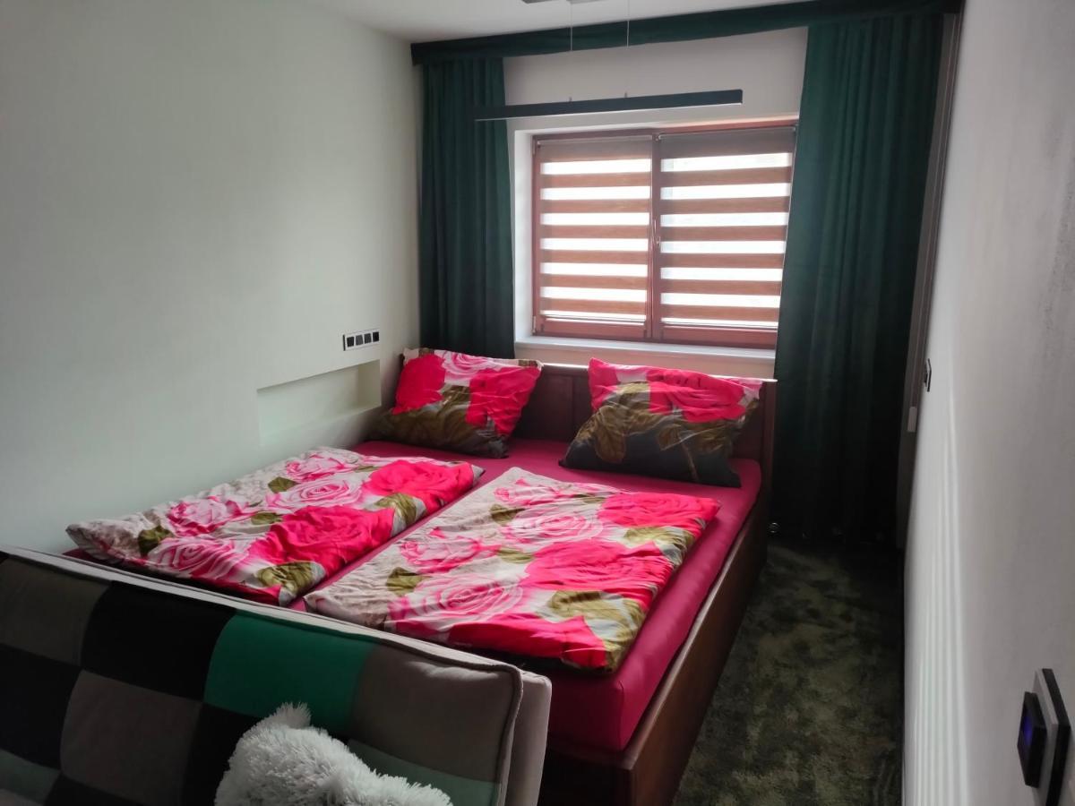 Apartman Uprostred Trojuhelniku Praha - Karlovy Vary - Plzen ホレショヴィツェ エクステリア 写真